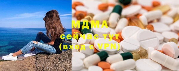 сатива Новозыбков