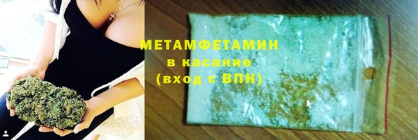 прущие грибы Нея