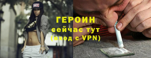 сатива Новозыбков