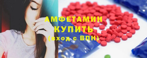 сатива Новозыбков