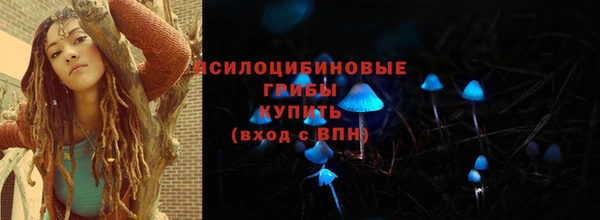 прущие грибы Нея