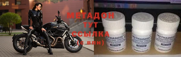 сатива Новозыбков