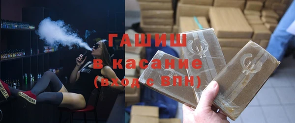 сатива Новозыбков