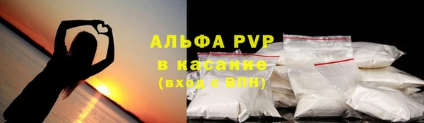 прущие грибы Нея
