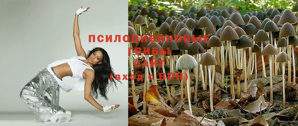 дурь Новокубанск