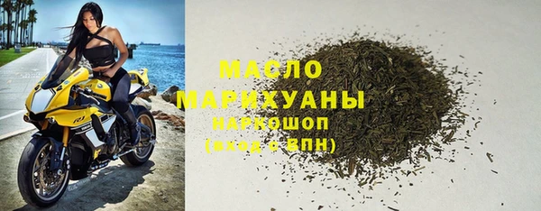 сатива Новозыбков
