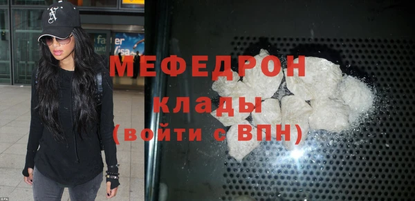 сатива Новозыбков
