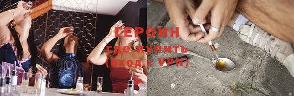 сатива Новозыбков