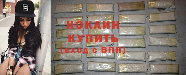 бошки Новодвинск