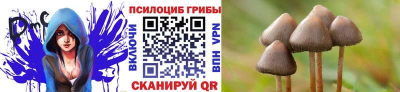 MEGA вход Орёл Галлюциногенные грибы мицелий